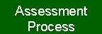 Assessment Process